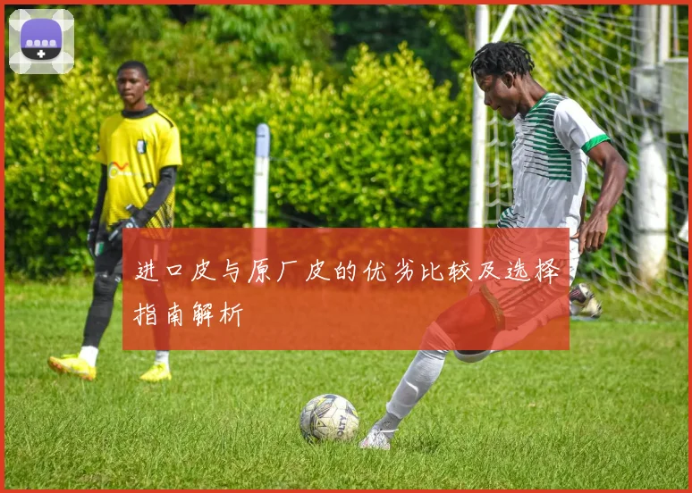 进口皮与原厂皮的优劣比较及选择指南解析