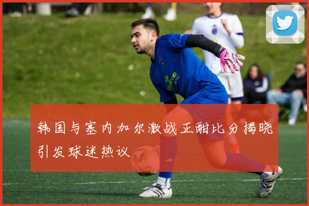 韩国与塞内加尔激战正酣比分揭晓引发球迷热议