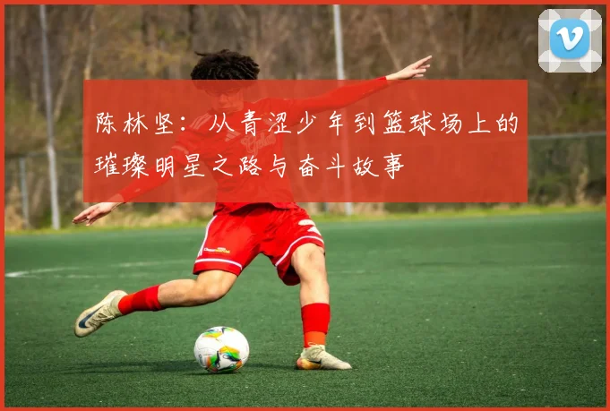 陈林坚：从青涩少年到篮球场上的璀璨明星之路与奋斗故事