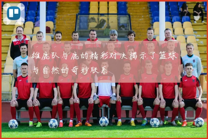 雄鹿队与鹿的精彩对决揭示了篮球与自然的奇妙联系